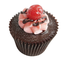 Ruby Slippers | Sweet Cupcasions